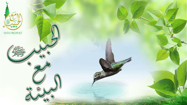 حياة رسول الله صلى الله عليه وسلم مع البيئة