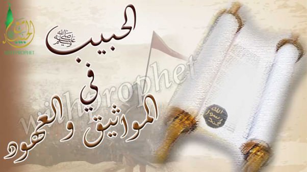 رسول الله صلى الله عليه وسلم في الاتفاقات والمعاهدات والحروب