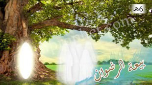 بيعة الرضوان 6هـ