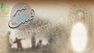 صبر رسول الله صلى الله عليه وسلم