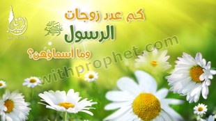 عدد زوجات رسول الله
