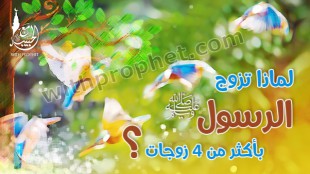 لماذا- تزوج- الرسول- أكثر-من-4-زوجات؟