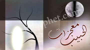 معجزات رسول الله التي تحققت في حياته