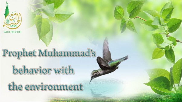 Prophet Muhammad (peace be upon him) and the environment