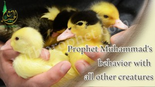 The Prophet (peace be upon him) with all other types of creation