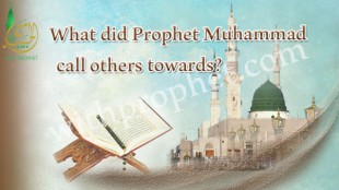 What did Prophet Muhammed call others to?