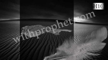 Death of the Prophet’s son, Ibraheem 10 A.H.