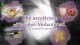 The asceticism  of Prophet Muhammad peace be upon him
